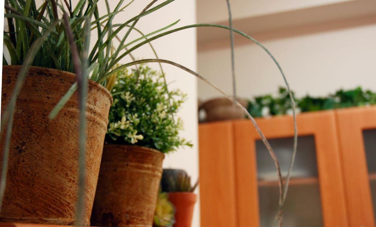 Acropolis, Urban Lifestyle Apartment Athens Ngoại thất bức ảnh
